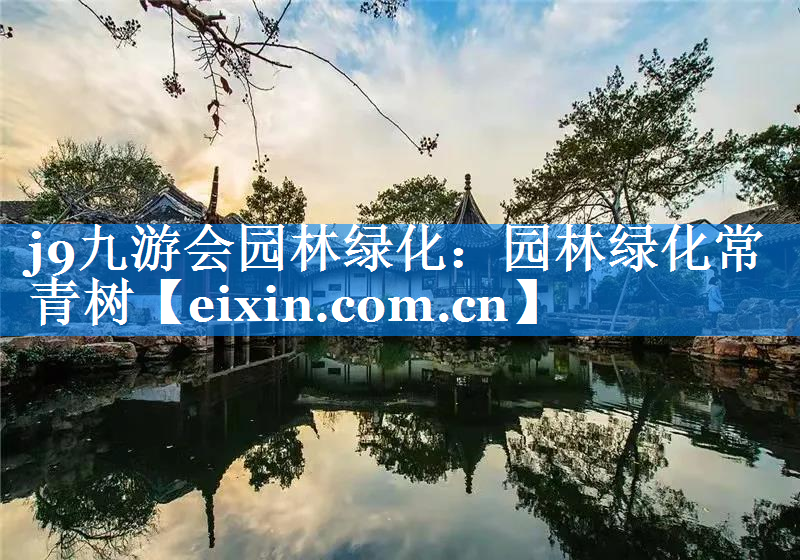 園林綠化常青樹