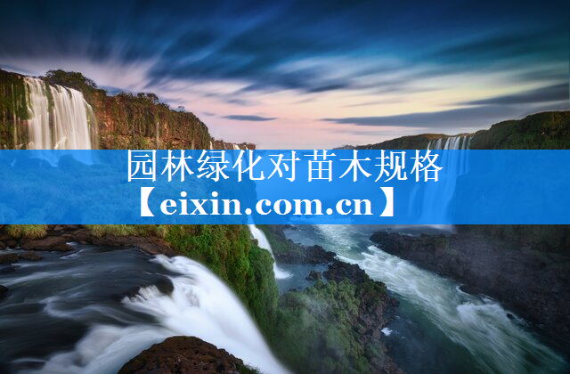 園林綠化對苗木規(guī)格