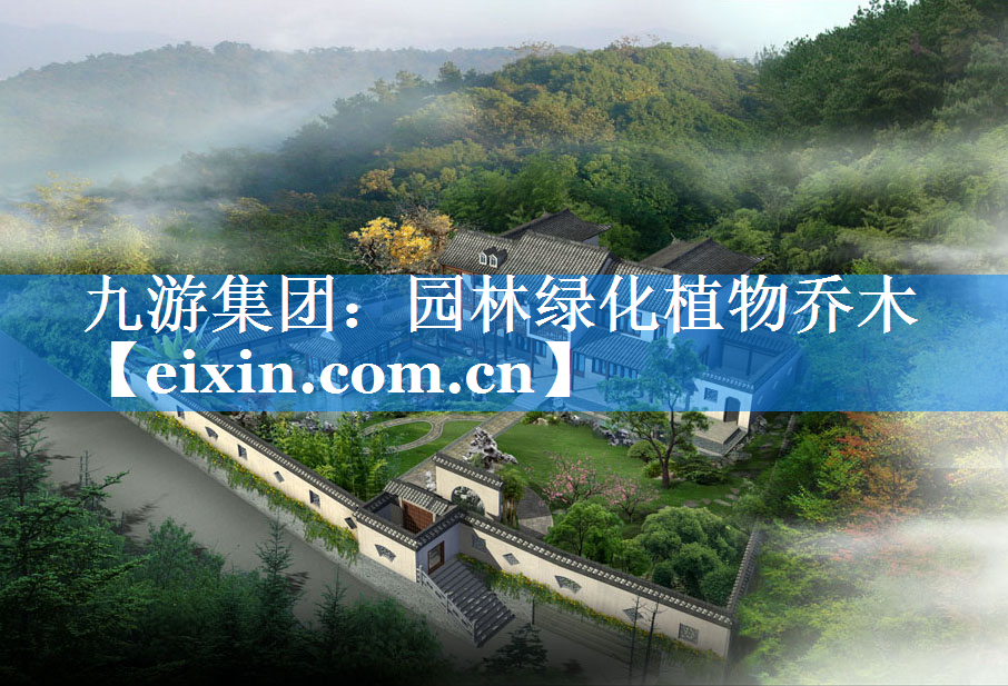 園林綠化植物喬木