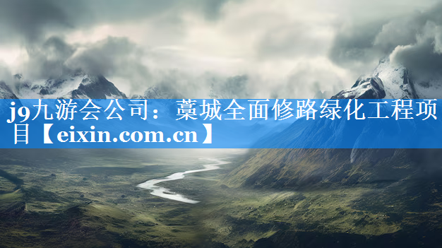 藁城全面修路綠化工程項目