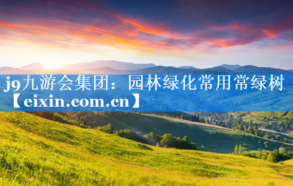 園林綠化常用常綠樹(shù)