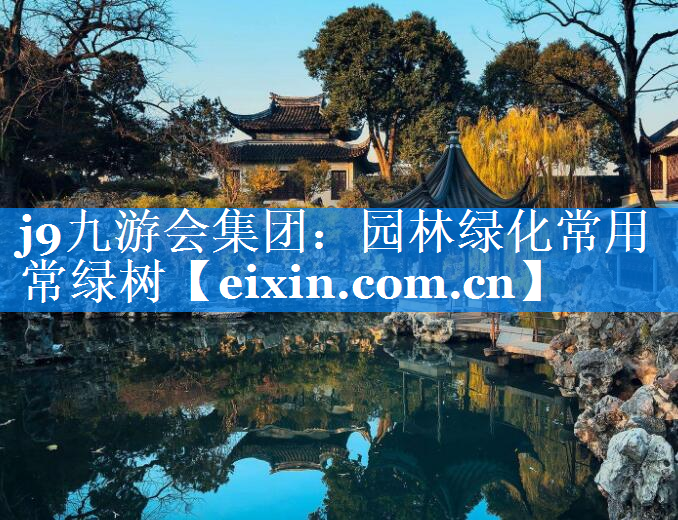 園林綠化常用常綠樹(shù)