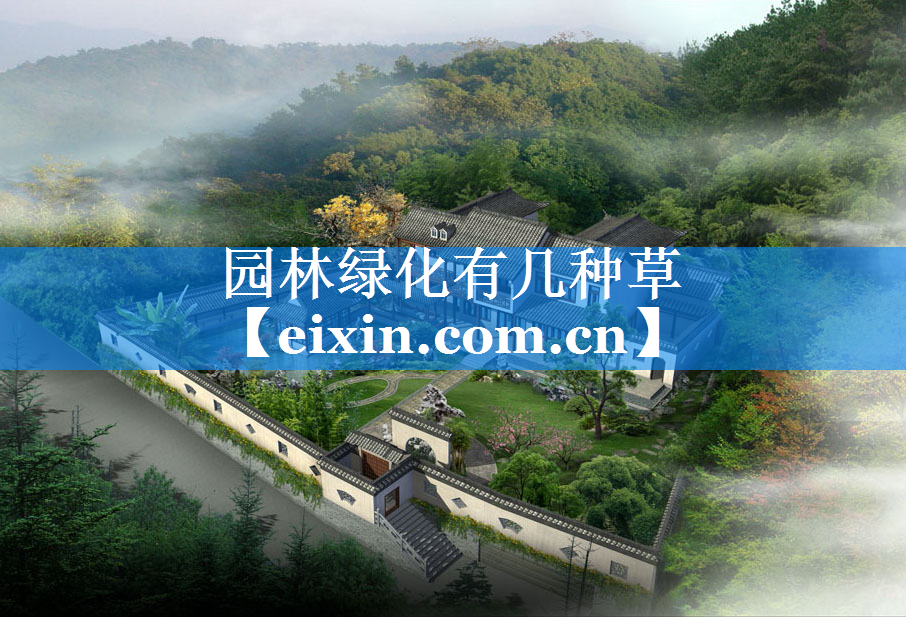 園林綠化有幾種草