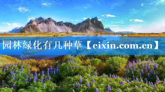園林綠化有幾種草