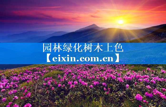 園林綠化樹(shù)木上色