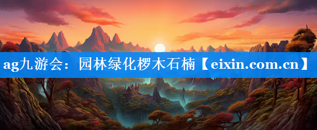 園林綠化欏木石楠