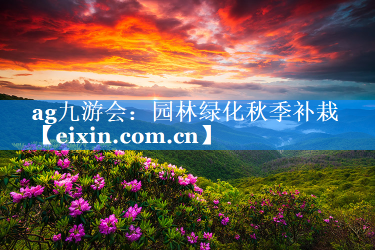 園林綠化秋季補栽