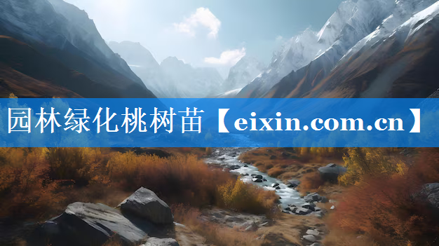 園林綠化桃樹苗