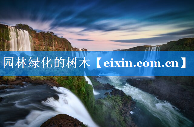 園林綠化的樹木