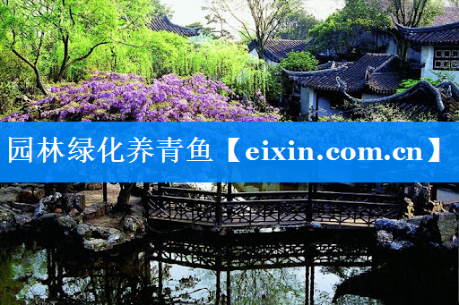 園林綠化養(yǎng)青魚(yú)