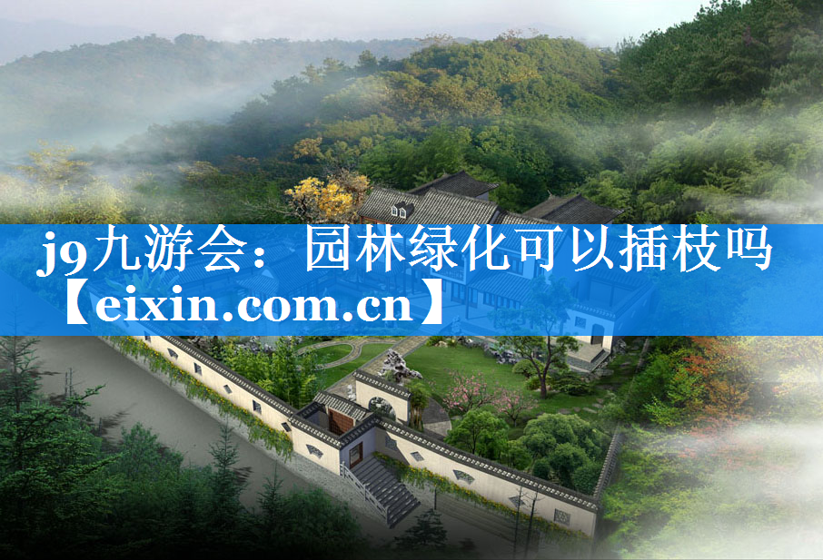 園林綠化可以插枝嗎