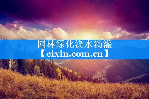 園林綠化澆水滴灌
