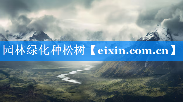 園林綠化種松樹