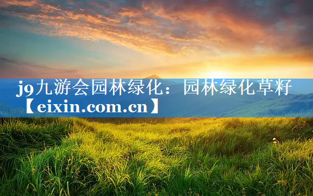 園林綠化草籽