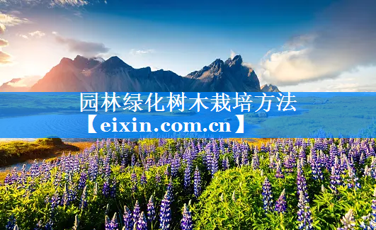 園林綠化樹木栽培方法
