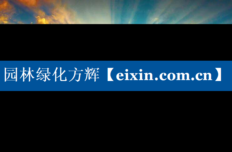 園林綠化方輝