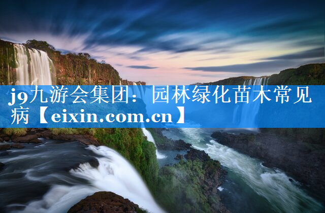 園林綠化苗木常見病