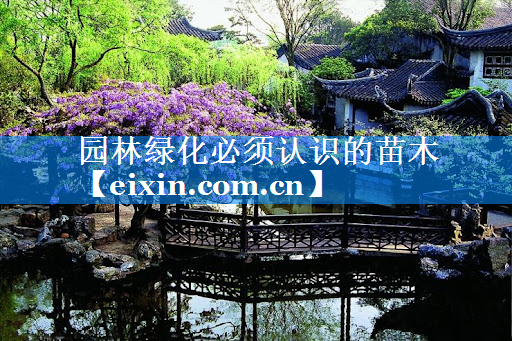 園林綠化必須認(rèn)識(shí)的苗木