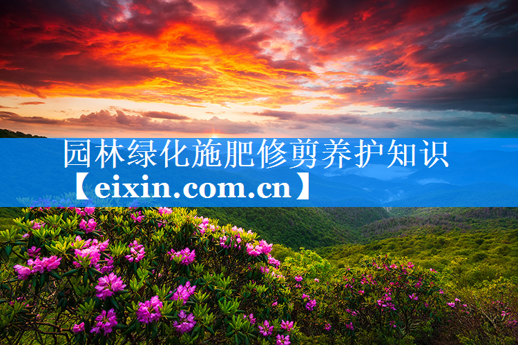 園林綠化施肥修剪養(yǎng)護(hù)知識(shí)