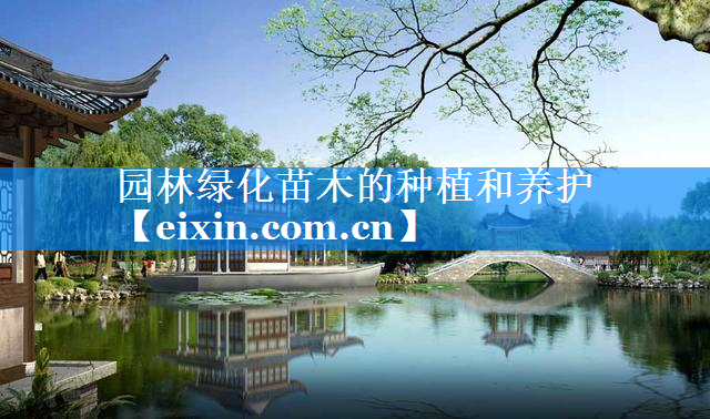 園林綠化苗木的種植和養(yǎng)護(hù)