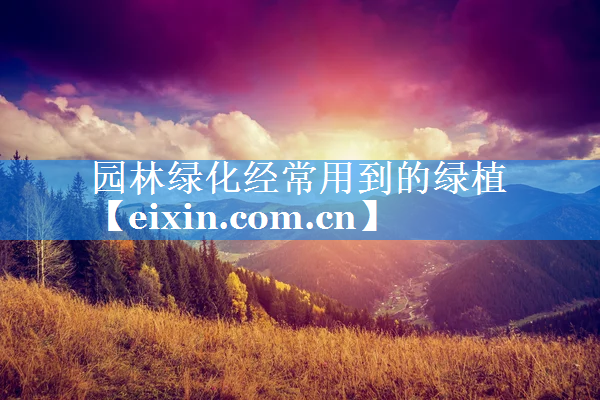 園林綠化經(jīng)常用到的綠植