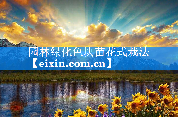 園林綠化色塊苗花式栽法