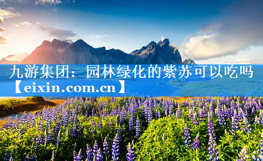 園林綠化的紫蘇可以吃嗎
